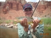     Freemont River Fly Fishing      
